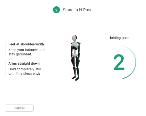 The Stand in N-Pose calibration step with posture instructions and the Holding pose countdown