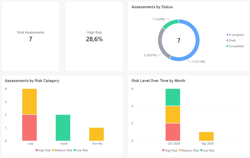 The Overview sheet with Total Assessments and High Risk cards, Assessments by Status, Assessments by Risk Category, and Risk Level Over Time by Month